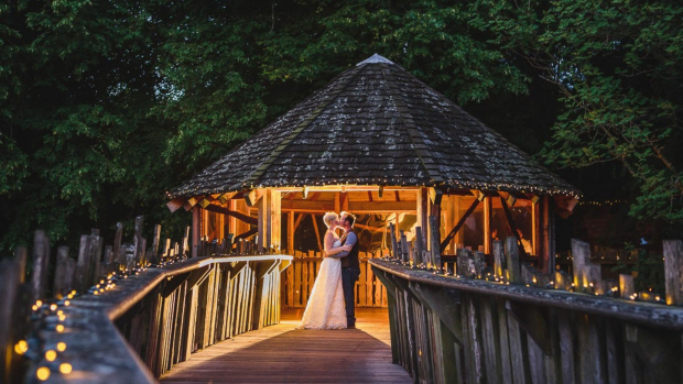 Alnwick Treehouse  View