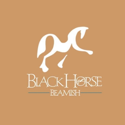 Black Horse Beamish Logo